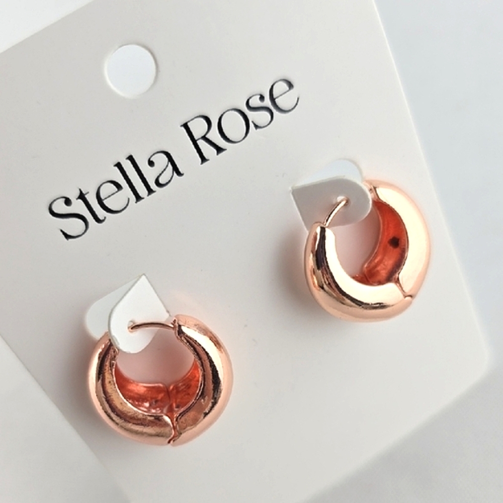 Stella Rose Women's Rose Gold-Tone Steel Small Circle Earrings E1511-3